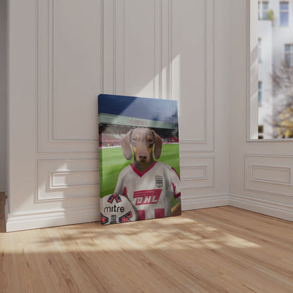 Your Pet in a Brentford Retro Shirt