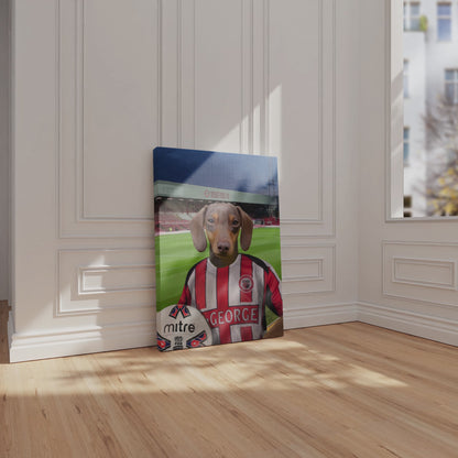 Your Pet in a Brentford Retro Shirt