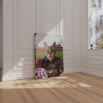 Your Pet in a Brentford 25/26 Away Shirt NEW