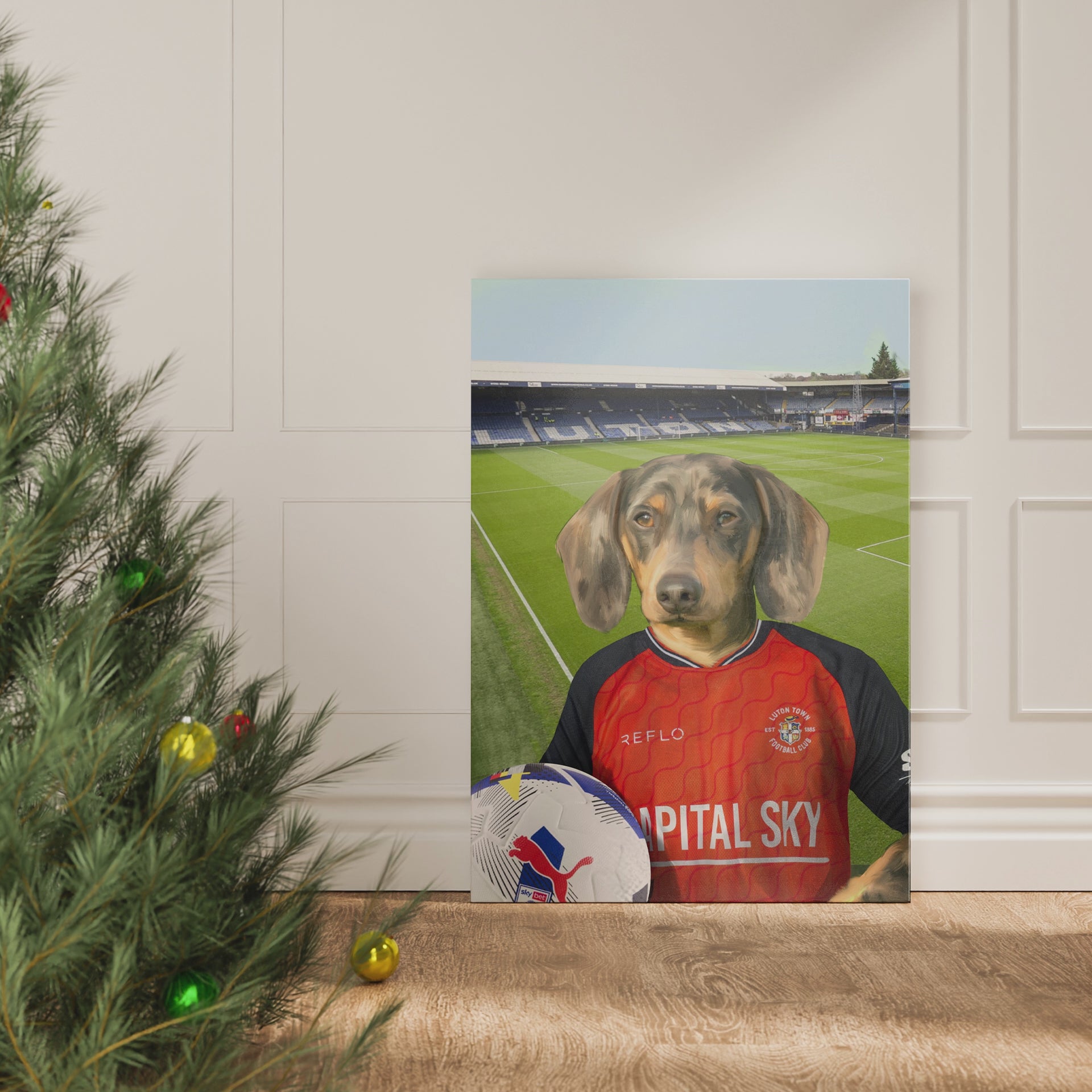 Load video: Your pet in a Luton Town FC Home Shirt