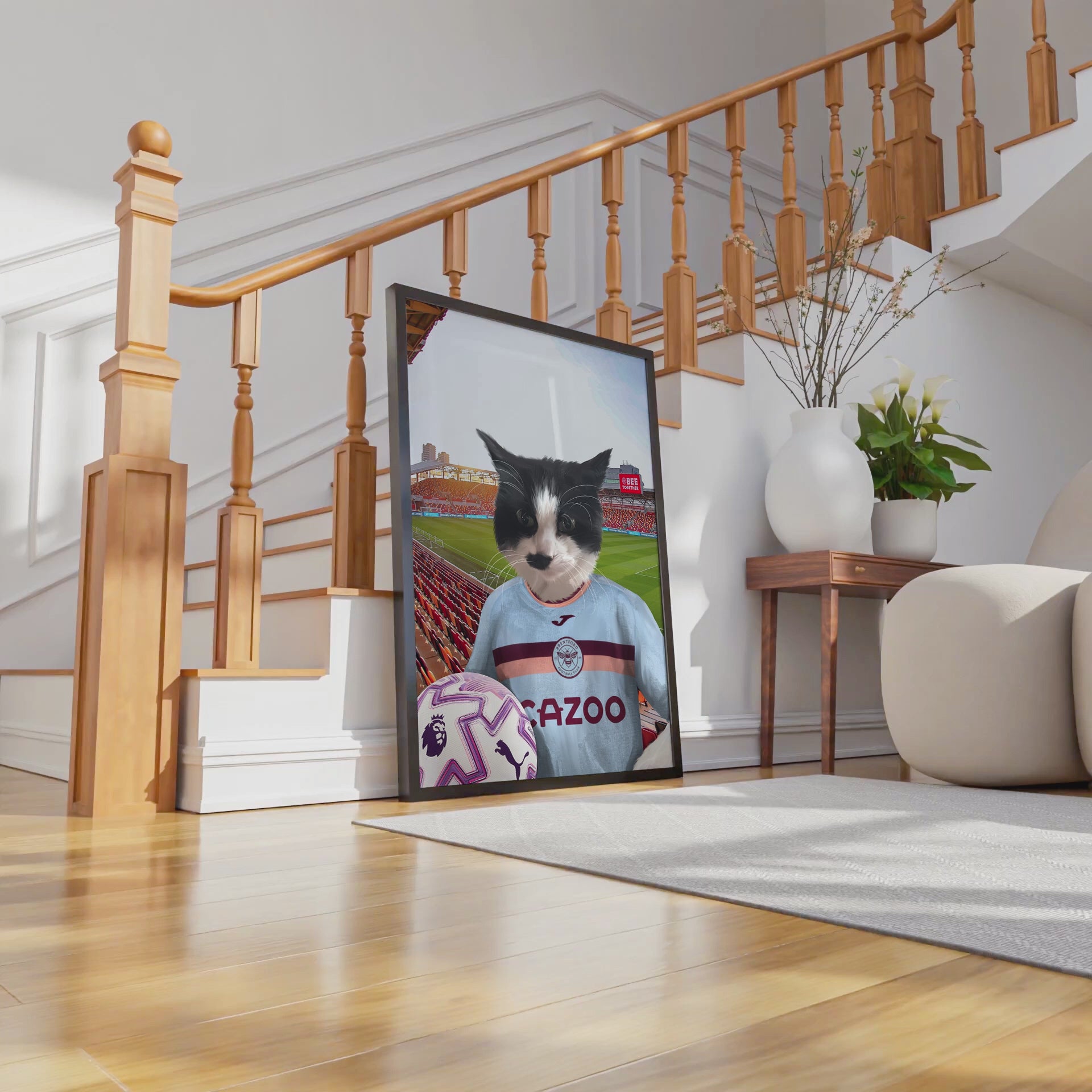 Your Pet in a Brentford FC 3rd Kids Shirt 2025/26