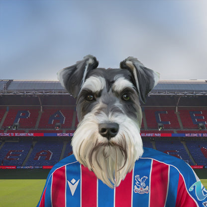 Your Pet in a Crystal Palace 25/26 Home Shirt
