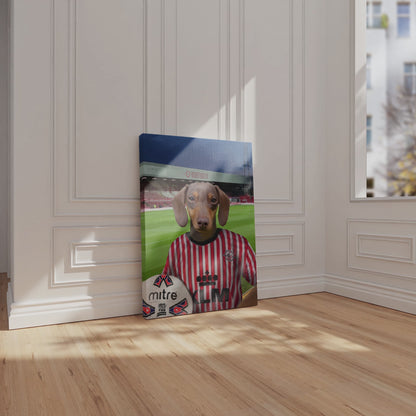 Your Pet in a Brentford Retro Shirt