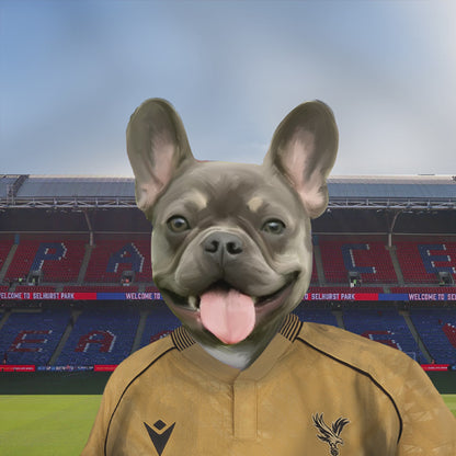 Your Pet in a Crystal Palace 25/26 Away Shirt