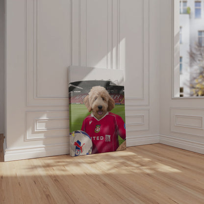 Your Pet in a Wrexham 25/26 Home Shirt