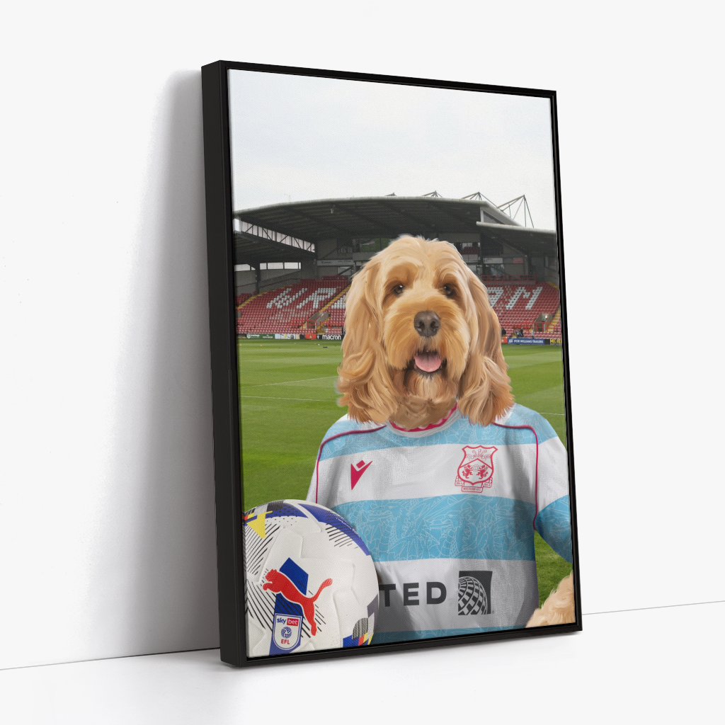 Your Pet in a Wrexham 25/26 3rd Shirt
