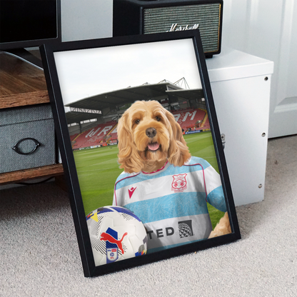 Your Pet in a Wrexham 25/26 3rd Shirt