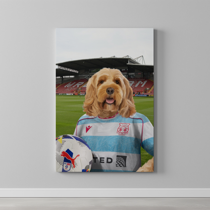 Your Pet in a Wrexham 25/26 3rd Shirt