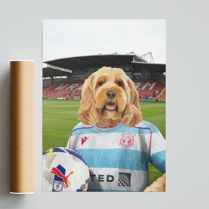 Your Pet in a Wrexham 25/26 3rd Shirt