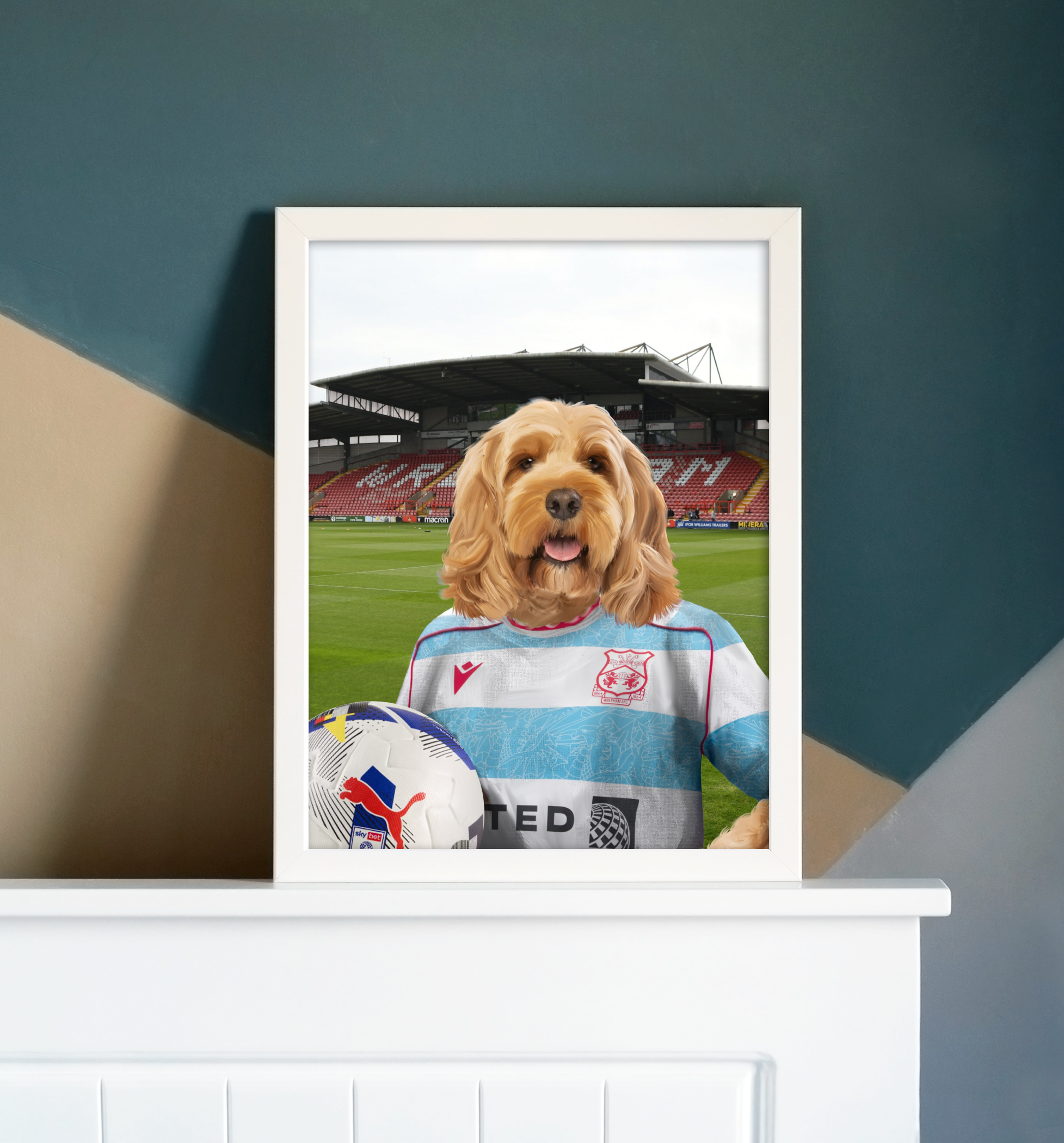Your Pet in a Wrexham 25/26 3rd Shirt