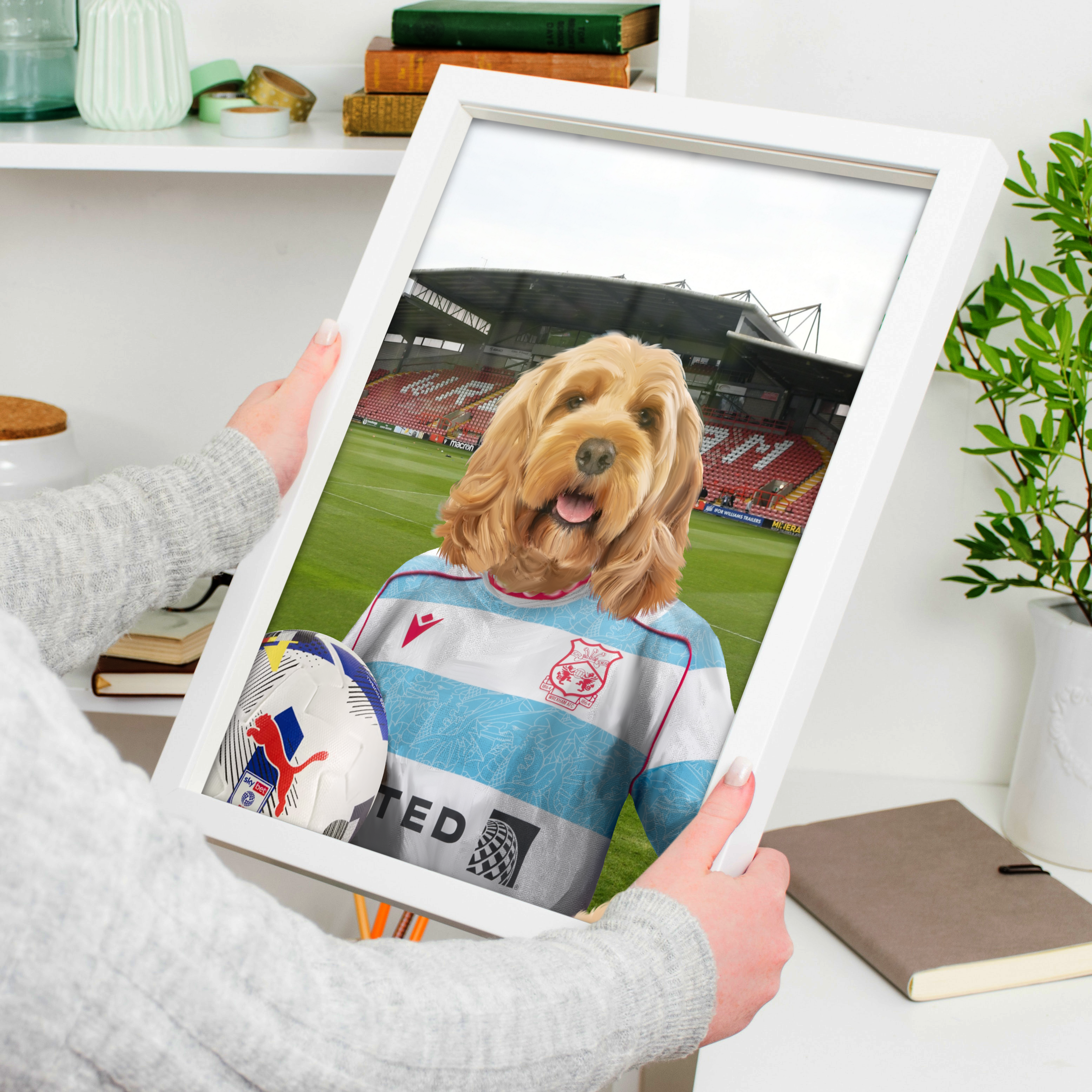 Your Pet in a Wrexham 25/26 3rd Shirt