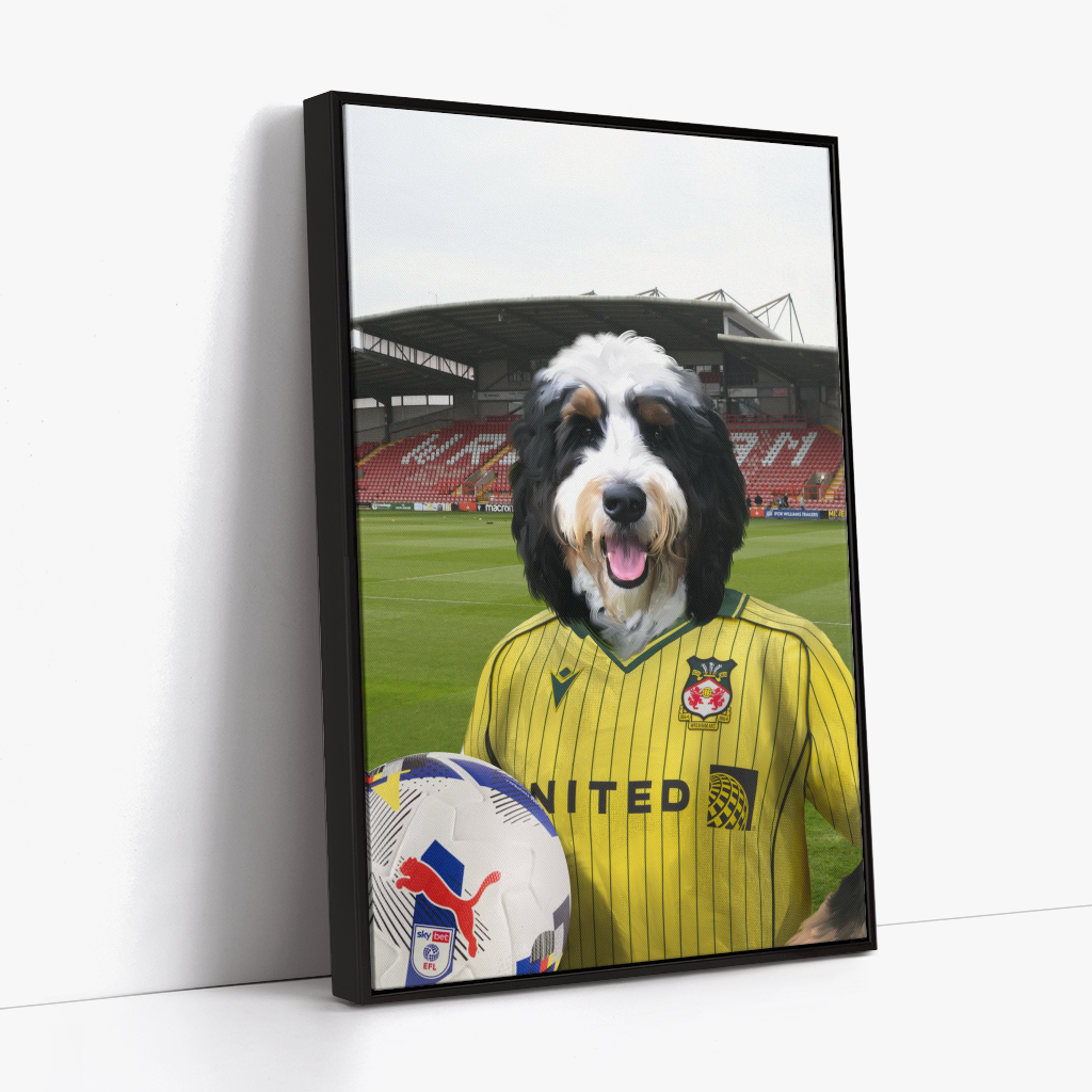 Your Pet in a Wrexham 25/26 Away Shirt