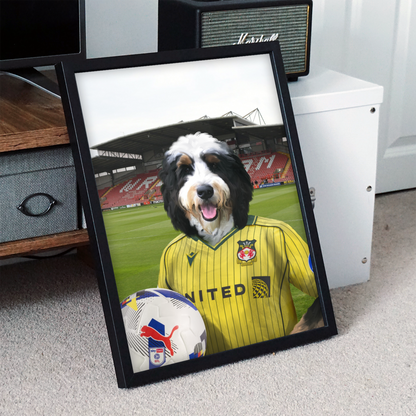 Your Pet in a Wrexham 25/26 Away Shirt