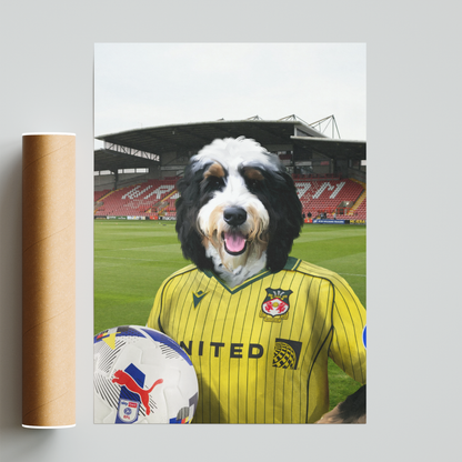 Your Pet in a Wrexham 25/26 Away Shirt