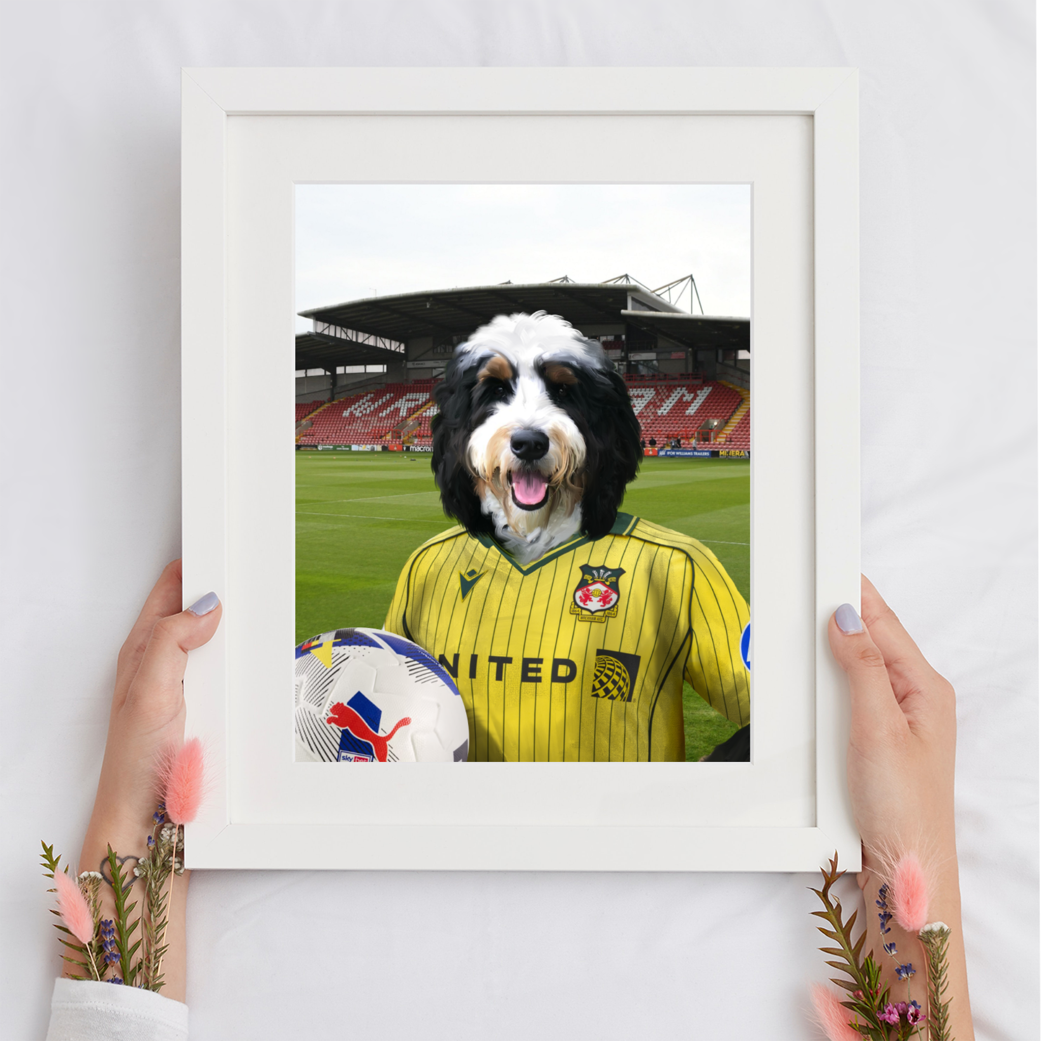 Your Pet in a Wrexham 25/26 Away Shirt