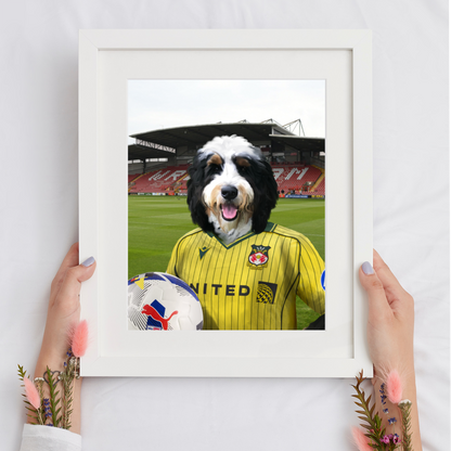 Your Pet in a Wrexham 25/26 Away Shirt