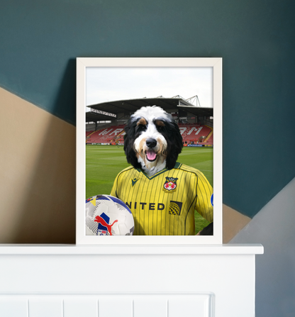 Your Pet in a Wrexham 25/26 Away Shirt