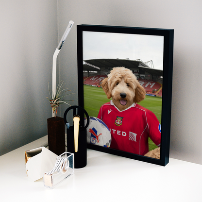 Your Pet in a Wrexham 25/26 Home Shirt