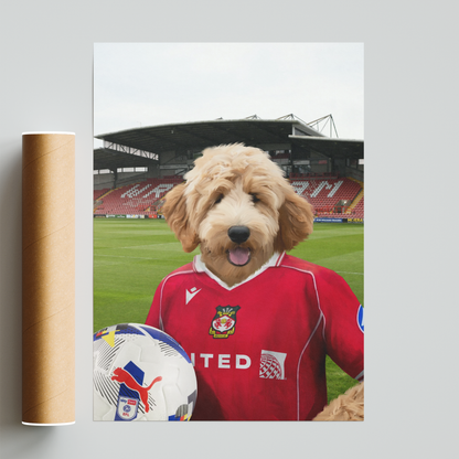 Your Pet in a Wrexham 25/26 Home Shirt