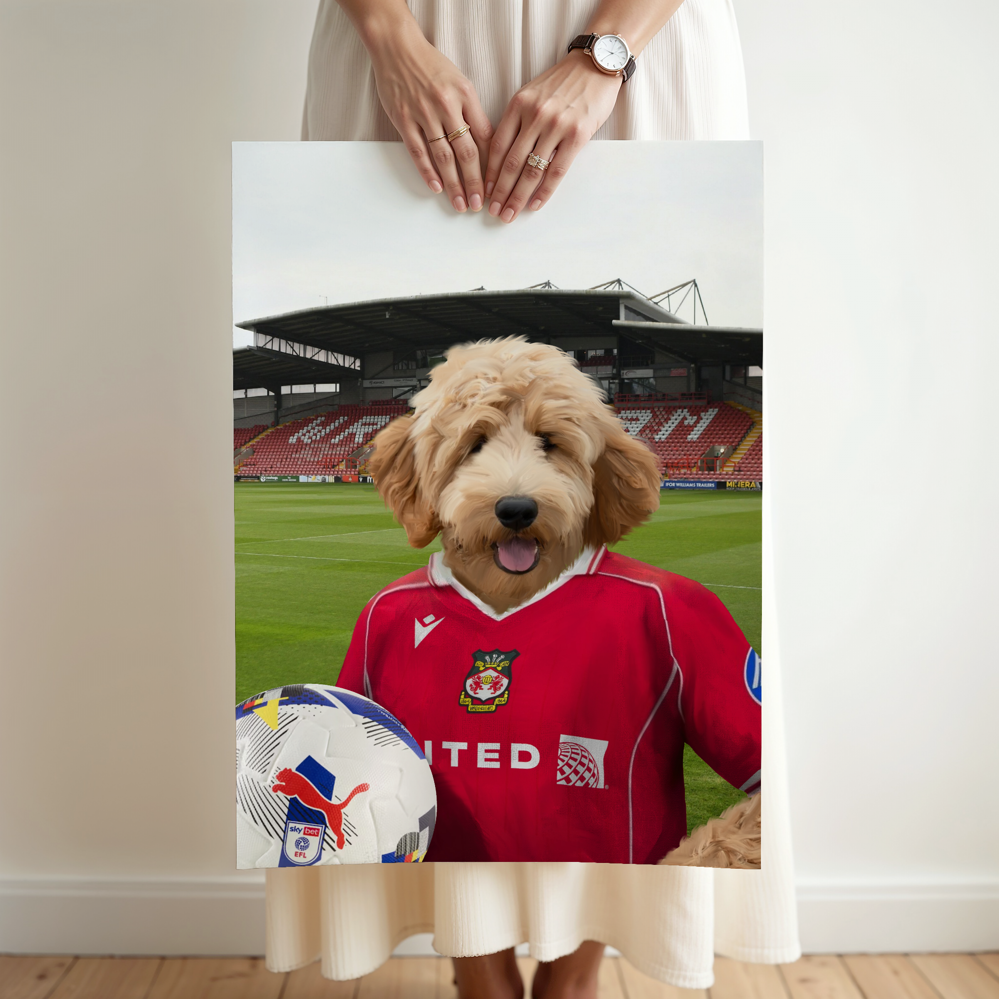 Your Pet in a Wrexham 25/26 Home Shirt