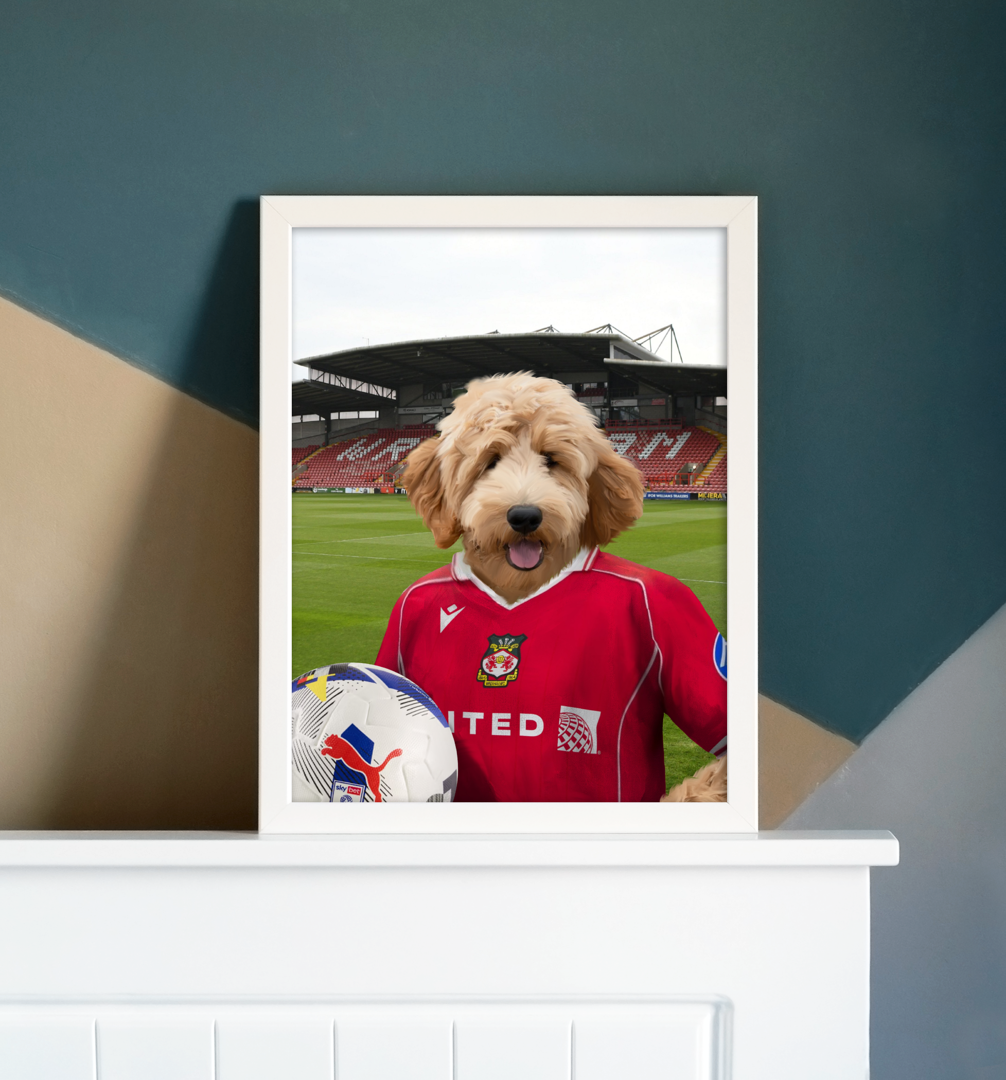 Your Pet in a Wrexham 25/26 Home Shirt