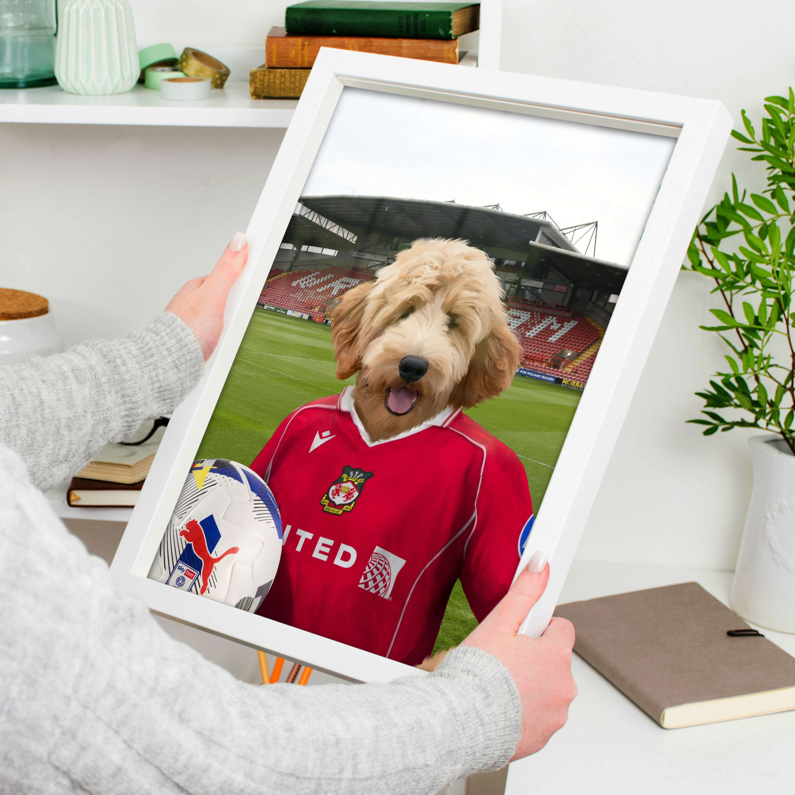 Your Pet in a Wrexham 25/26 Home Shirt